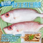 海肉管家 【買4送4-】野生紅目鰱(共8隻_150g/隻)