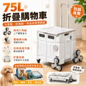 免運⭐️隔日配達 萬用折疊購物車 折疊推車 收納車 爬梯推車 購物籃 小拉車 折疊購物車 折疊手推車 購物車 爬梯輪
