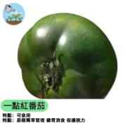 一點紅番茄種子 FQ-34 水果番茄種子 桃太郎番茄 黑柿番茄 牛番茄 家庭菜園 陽台盆栽 自種 豐收 脆甜多汁