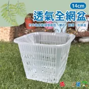 【花園城堡】現貨 14cm方形透氣全網盆 氣根植物 蘭花盆 蕨類 水耕盆 高度透水 透氣 透氣盆控根盆塑膠盆 水培定植