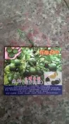╭☆東霖園藝☆╮果苗(無刺台灣香檬)扁實檸檬   嫁接苗 維生素C是檸檬的30倍