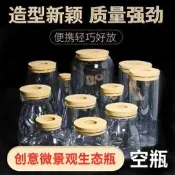 生態瓶diy魚微景觀生態球高朋矽創意DIY設計花瓶玻璃魚缸辦公桌