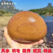 🍄🎏精品 鎮宅風水石大石頭擺件天然鵝卵石大圓石頭圓形鵝卵石特大號酸菜石 小檸百貨