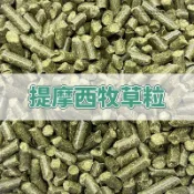 【現貨】提摩西牧草粒 小寵零食 兔子磨牙點心 兔用磨牙飼料 兔飼料 兔子飼料 兔子主食 天竺鼠飼料 豚鼠 寵物兔 草食