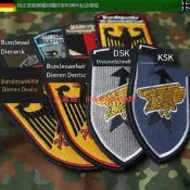 【幸運戶外】德國進口原裝正品公發軍版德軍徽章叢斑Parka斑BDU作戰服刺繡章