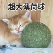 🔥限時特惠🔥貓玩具超大貓薄荷球小貓自嗨解悶神器磨牙耐咬逗貓棒寵物貓咪玩具