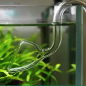 免運 魚缸進出水管 過濾桶進出水 香港VIV百合魚缸水晶玻璃進出水口 草缸吸水口 過濾桶喇叭出水口