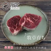 【yesgogogo 即食購】【勝崎生鮮】紐西蘭銀蕨PS極鮮嫩菲力牛排5片組(100g/片)