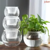 【加厚防爆】水培植物玻璃瓶 大號圓球型玻璃花盆 綠蘿水培器皿 微景觀生態魚缸 辦公室桌面裝飾花瓶 養魚盆