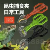 爬寵餵食夾 守宮蜥蜴 角蛙蜘蛛 麵包蟲 杜比亞蟋蟀 活體餵食 昆蟲捕捉夾子 鑷子 爬蟲飼料工具 昆蟲夾子 爬蟲餵食工具