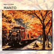 釘好內框🔥Manto【台灣製造】DIY數字油畫｜嵐山小火車