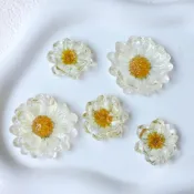10PCS 日系小清新乾燥花雛菊耳飾髮夾頭飾戒指洞洞鞋樹脂貼片diy飾品配件
