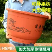 🔥臺灣好貨灬🔥特大號仿陶瓷加厚樹脂花盆鐵樹果樹陽臺庭院種樹花盆養荷花專用盆