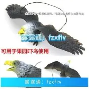 【哆啦A夢的百寶屋】趕鳥驅鳥神器驚鳥嚇鳥器用陽臺果園菜園戶外大號仿真老鷹模型