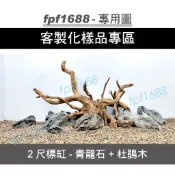 客製化造景-2尺標缸-青龍石+杜鵑木