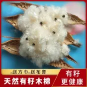 協貿國際日用品生活7館 天然帶籽木棉花枕頭純有套枕頭枕芯攀枝枕芯保健枕枕套頸椎枕