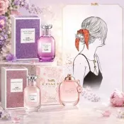 COACH品牌50ml淡香精/香水(加贈精美造型髮圈)