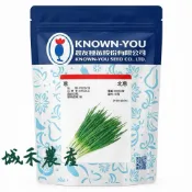 原包裝 500克 農友北蔥種子 約14萬粒 北蔥種子 蔥種子 農友蔥種子 農友北蔥種子 農友北蔥籽 蔥種子 蔥的種子