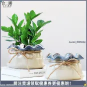 【粗陶透氣吸水】陶瓷花盆 招財擺財 發財樹 金錢樹 多肉花盆 辦公室 展廳 櫃檯 盆栽盆