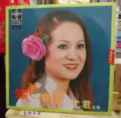 【音樂年華】尤君-銀色夜叉*黑膠唱片