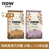 Now 雞肉/鮭魚高湯天然糧 中型成犬配方 22磅 兩件優惠組(乾濕兩吃 中顆粒 中型犬 火雞高湯 犬糧 狗飼料)