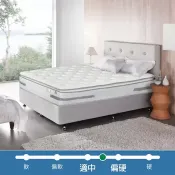【Costco好市多】席伊麗 美姿系列 Colorado雙人加大床墊 183公分 X 190公分 Sealy Colorado Posturepedic Mattress 183 X 190 cm