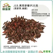 【綠藝家】J15.黑燕麥種子25克(有藥劑處理)(燕麥草.綠肥.較一般燕麥耐熱性佳.燕麥草可食用、打汁皆可) 芽菜種子