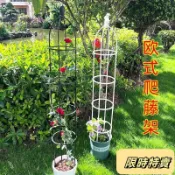 🔥免運🔥【迴頭客857人】歐式庭院爬藤架陽臺綠植支架可拚接多層飄香藤薔薇花架子室內家用 H38Csfwg