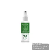 (店+)【Cs HEDDA 席詩藍朵】乾洗手噴霧 淨化型 100ml