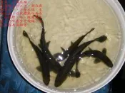 淡水 魚苗 吳郭 草魚 烏鰡 白鰱 鯽魚 鯉魚 鯰魚 加州鱸 台灣鯛 小錦鯉 小龍鯉 金魚 斑鱧 錦鯉