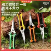 園藝採果剪 省力摘果剪 不鏽鋼修枝剪 葡萄辣椒採摘 家用蔬果工具 果園菜園陽臺盆栽 家用園藝採摘修剪萬用百搭 pd1