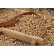 台灣長糙米/不定期一斤32附發票/花東產/brown rice/純淨無污染/興妍誠五穀健康米糧