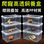 【臥水族】【飼養盒 爬蟲盒 飼養箱 烏龜盒】可疊透 飼育 爬蟲箱 昆蟲 烏龜 守宮 角蛙 烏龜 昆蟲盒 蜘蛛 蠍子 澤龜