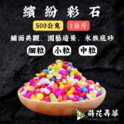 219起免運～彩石 (500公克/1公斤)(多粒徑)好運石 五彩石 彩色石頭 魚缸底砂 盆栽鋪面 裝飾 園藝造景