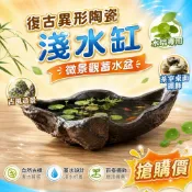 【復古異形陶瓷】淺水缸 微景觀蓄水盆 蘆根睡蓮銅錢草水培專用 茶室桌面擺飾 古風造景 搶購價