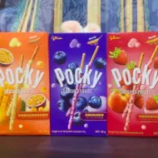 ✨現貨✨ Glico 百奇Pocky 優格棒38g藍莓果粒 草莓果粒蜜桃 芒果果粒百香風味 優格棒 格力高