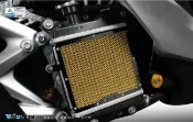 【R.S MOTO】YAMAHA SMAX S-MAX 155 水箱護網 基本款 黑鋁框 DMV