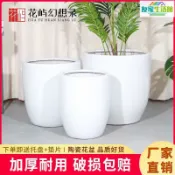友家生活館 免運 陶瓷大花盆白色簡約百搭家用客廳落地蘭花虎皮蘭天堂鳥大綠植 TJ-D-1115 快速出貨 公司貨 開發票