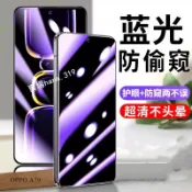 抗藍光防窺滿版玻璃貼防偷窺保護貼OPPO A6X 5G A5 A3 Pro A3X A79 A6S Reno15F 14