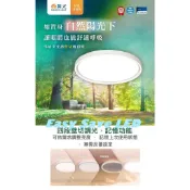 含稅 DANCELIGHT 舞光 LED 全光譜健康光 超高演色性Ra95 45W 四段壁切 雪晴吸頂燈 自然光/白光