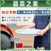 【蔬菜之家】如意大水盤(大、特大)磚紅色、棕色、白色 花瓶底盤 園藝底盤 園藝水盤 底盤 水盤 花盆底盤