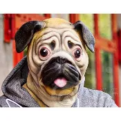 乳膠巴哥狗面具 巴哥犬面具 鬥牛犬沙皮狗面具(全罩/動物/萬聖節/惡搞/尾牙/變裝/焦點頭套遊行cosplay