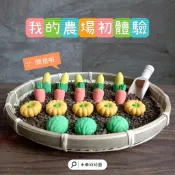 迷你蔬果 感官盆 小鐵夾 彩米 食用色素 感官刺激 農場體驗 決明子 家家酒 蒙特梭利