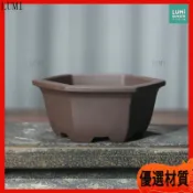 紫砂花盆 六角形 多肉花盆 小品盆栽 陶瓷盆器 粗陶盆 盆景盆 桌面擺件 辦公室 盆栽 迷你 拇指盆 古風 茶桌 擺飾