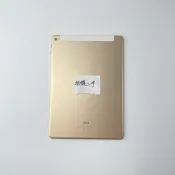 【拆機二手】iPad Air 2 (LTE版) A1567 金色 (1) 背蓋總成 後殼 後蓋總成 背板總成 外殼