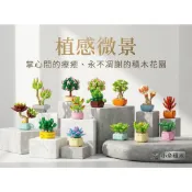 【小全積木】仿真多肉綠植盆栽積木 微縮植物花卉盆景擺件模型 免澆水石蓮花玉露多款可選 拼裝積木 多肉積木 辦公室療癒