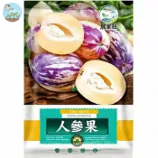 【原廠包裝】人參果種子 （Ginseng Fruit）40粒裝 香瓜茄種子 長壽果種子 南美香瓜梨 盆栽水果 可生吃蔬果
