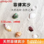 挪威的森林 【應有盡有咨詢客服】天然菲律賓沙珊瑚沙寄居蟹貝殼砂慈鯛沙海缸龜缸底砂天然 滿299起送