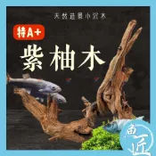 魚匠【精選 紫柚木 A+級】魚缸造景〞水族裝飾品 天然沉木 水族造景 沉木造景 杜鵑根 水族箱造景 沉木造景 水草造景