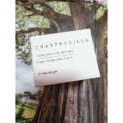 Chantecaille🌸香緹卡降價📣花妍調理保濕霜50ml2028/05🌹💯正專櫃現貨